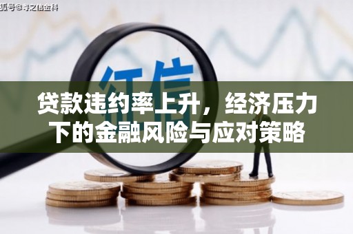巧家贷款违约率上升，经济压力下的金融风险与应对策略