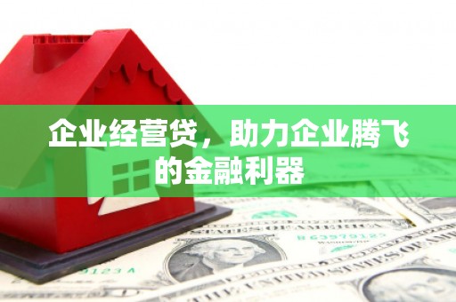 山上企业经营贷，助力企业腾飞的金融利器