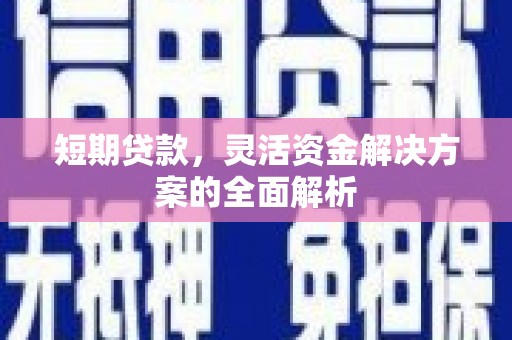 弥勒短期贷款，灵活资金解决方案的全面解析