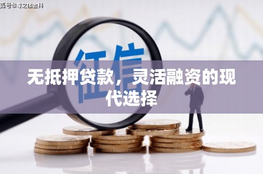 苍南无抵押贷款，灵活融资的现代选择