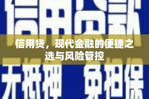 六安信用贷，现代金融的便捷之选与风险管控
