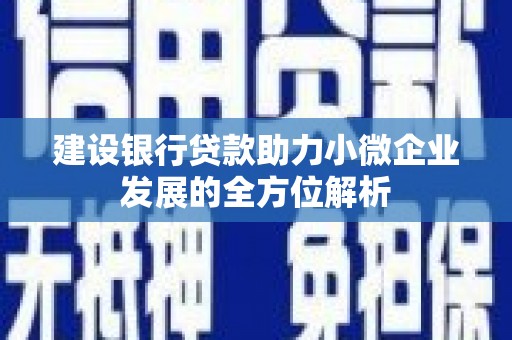 三穗建设银行贷款助力小微企业发展的全方位解析