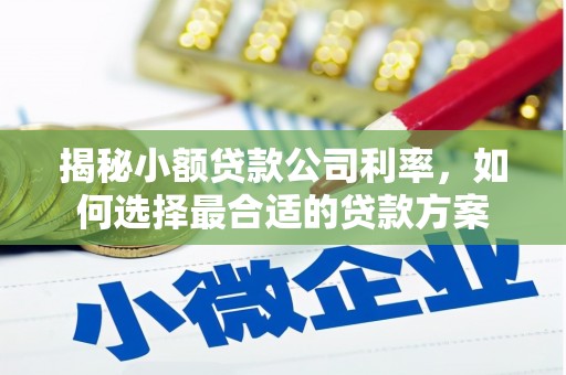崁顶揭秘小额贷款公司利率，如何选择最合适的贷款方案