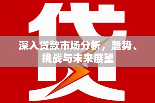 沈河深入贷款市场分析，趋势、挑战与未来展望