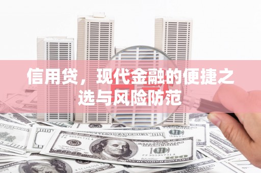 中站信用贷，现代金融的便捷之选与风险防范