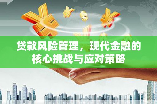 板芙贷款风险管理，现代金融的核心挑战与应对策略