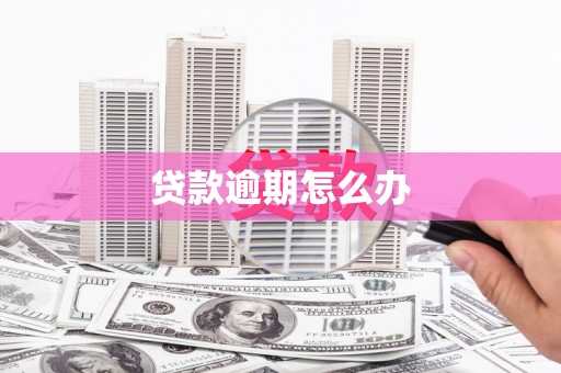 东区贷款逾期怎么办