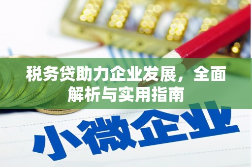保税区税务贷助力企业发展，全面解析与实用指南