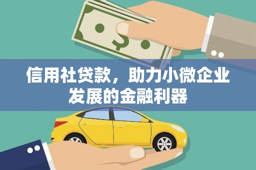 天宁信用社贷款，助力小微企业发展的金融利器