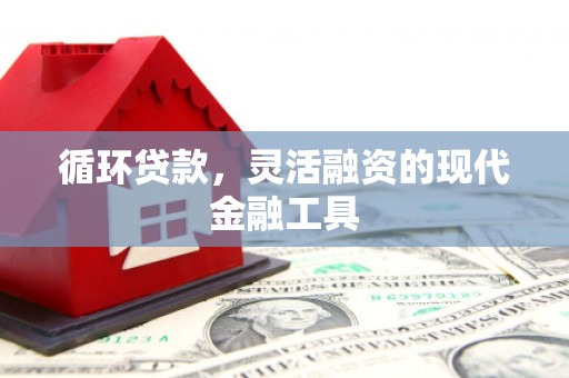 连南循环贷款，灵活融资的现代金融工具