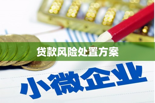 九龙贷款风险处置方案