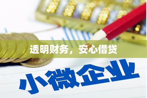 前锋透明财务，安心借贷