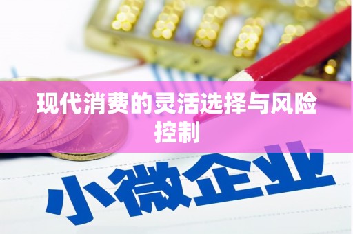 元长现代消费的灵活选择与风险控制