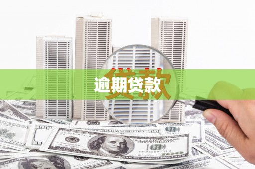 北竿逾期贷款