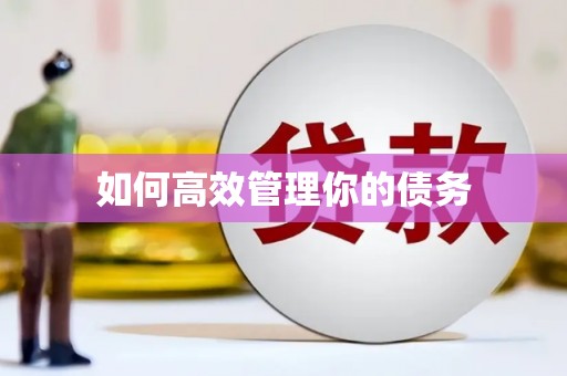 白沙如何高效管理你的债务