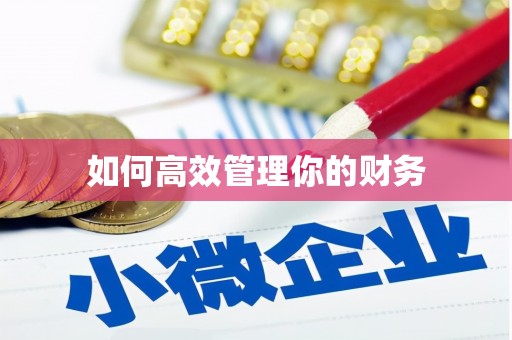 龙子湖如何高效管理你的财务