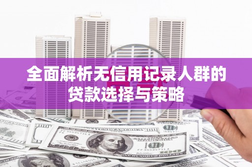 芙蓉全面解析无信用记录人群的贷款选择与策略