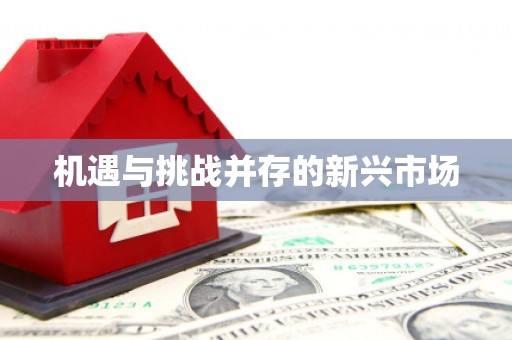 石鼓机遇与挑战并存的新兴市场